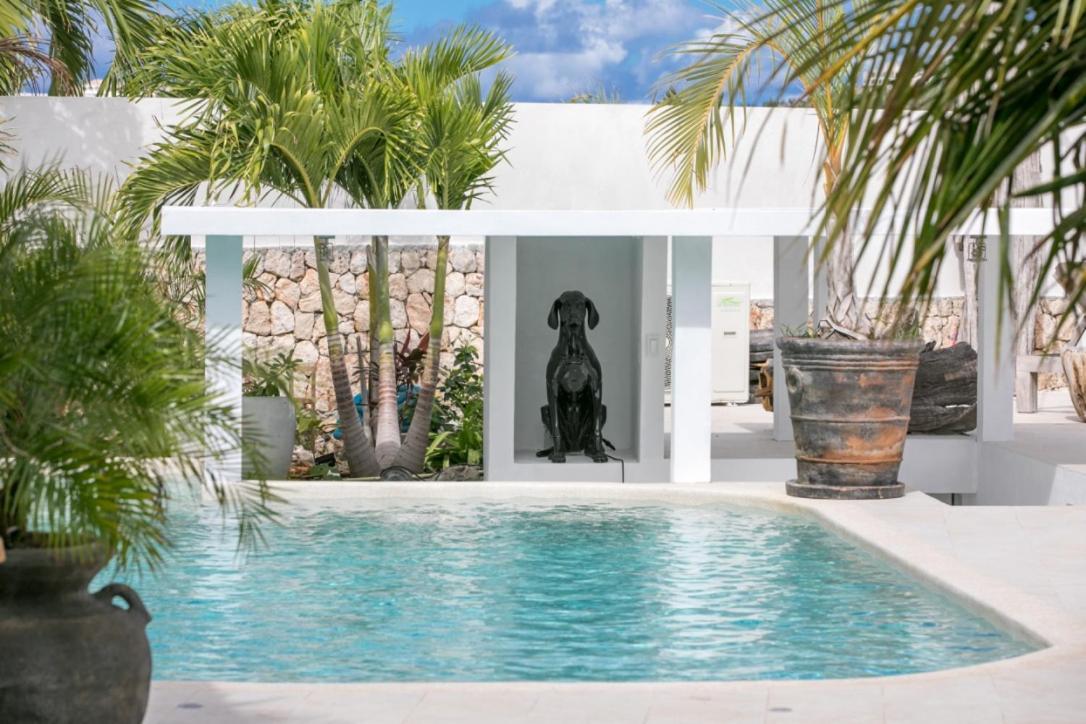 Lowlands Villa Blue Lagoon Suite Apartment מראה חיצוני תמונה